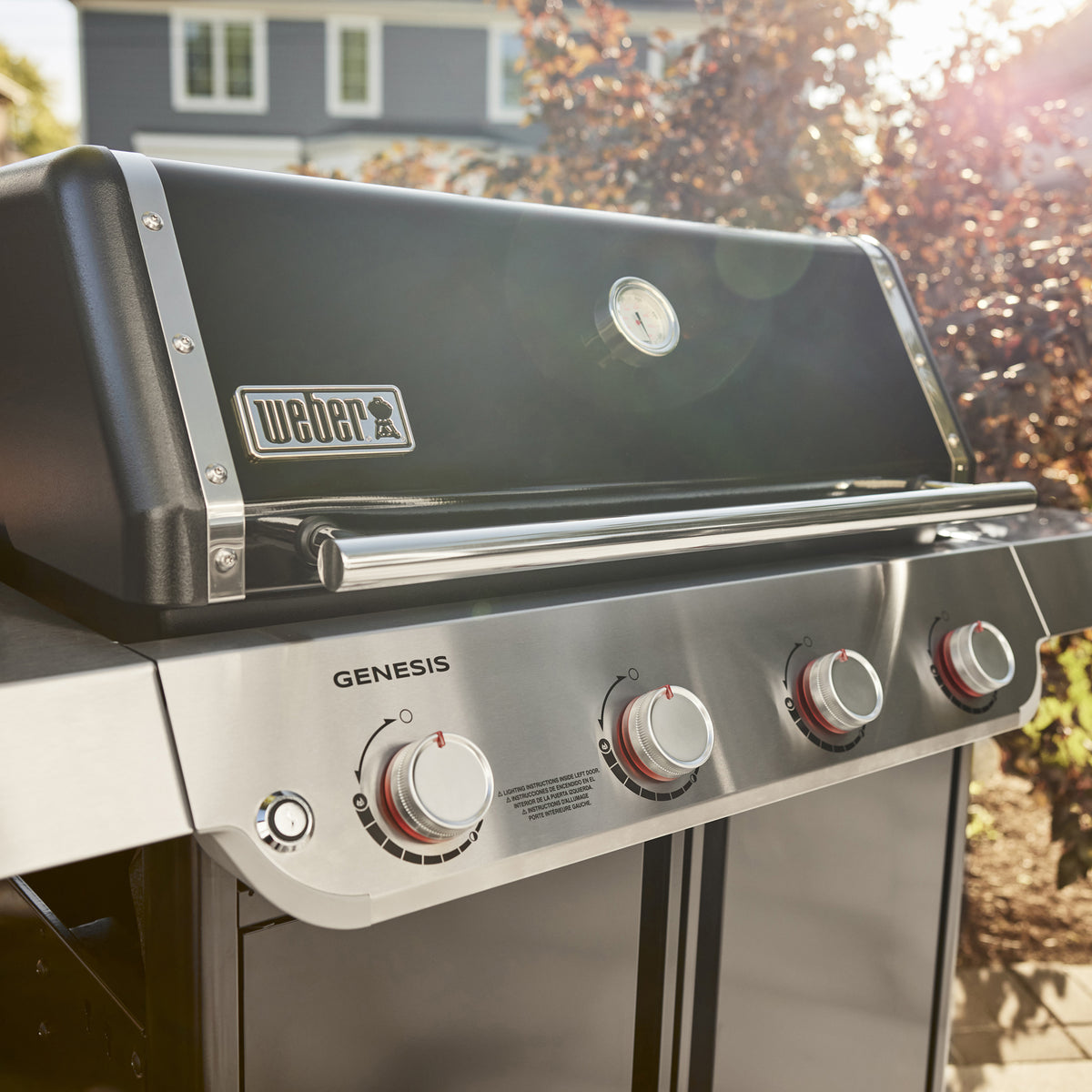 Genesis E-415 Gas Grill