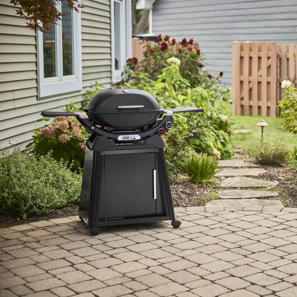 Q 2800N+ Gas Grill with Stand (Liquid Propane) - Midnight Black