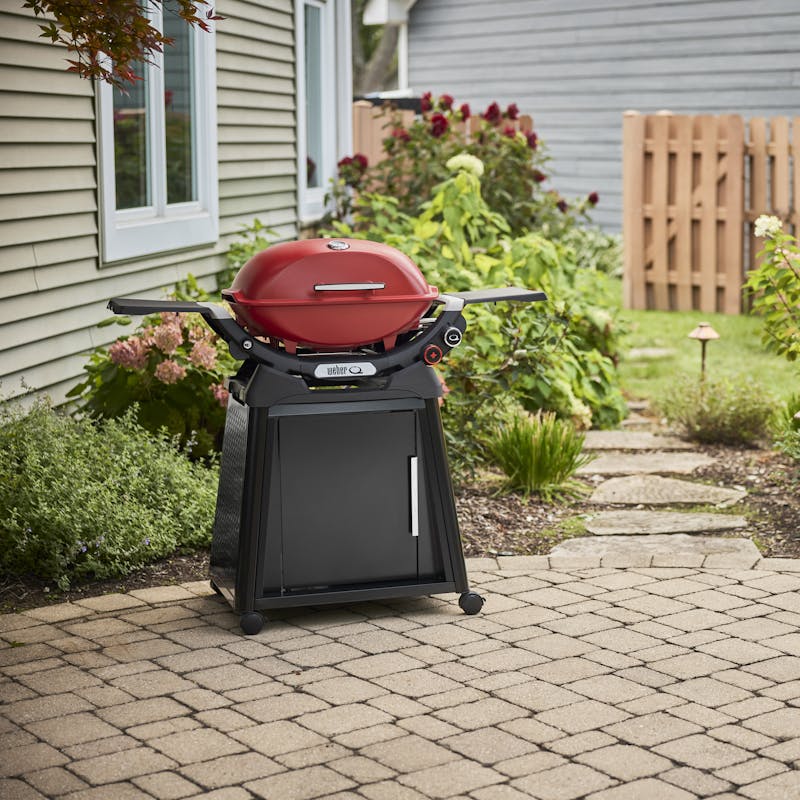 Q 2800N+ Gas Grill with Stand (Liquid Propane) - Flame Red