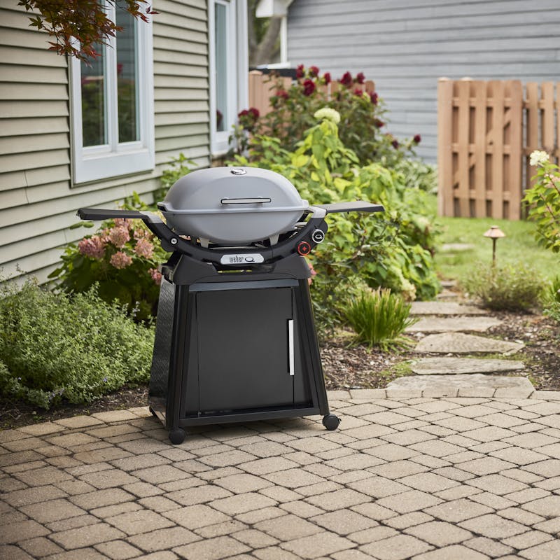 Q 2800N+ Gas Grill with Stand (Liquid Propane) - Smoke Grey