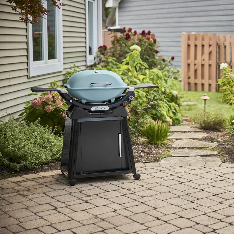 Q 2800N+ Gas Grill with Stand (Liquid Propane) - Sky Blue
