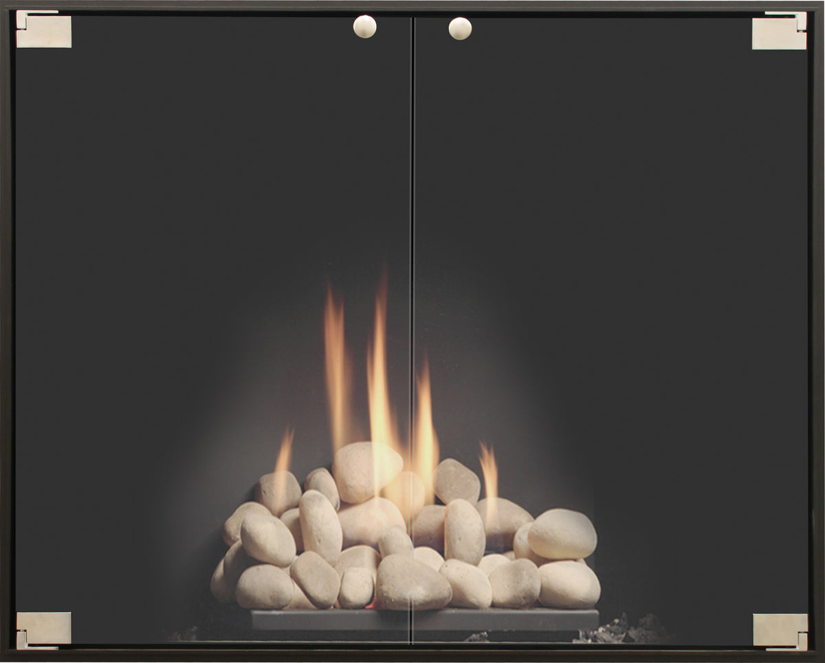 ThinlinePro - Masonry & Prefab Steel Fireplace Glass Doors